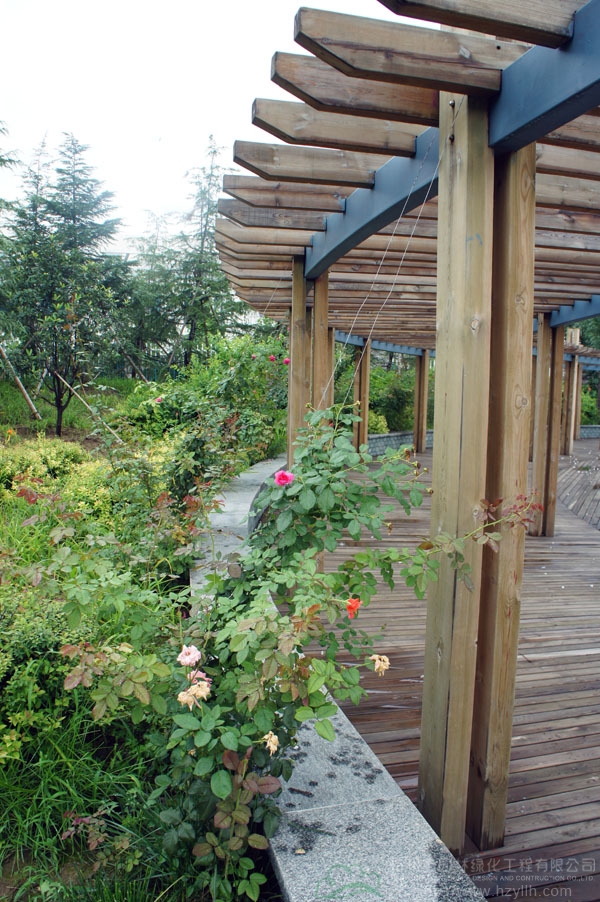 彩运网(中国游)官方网站