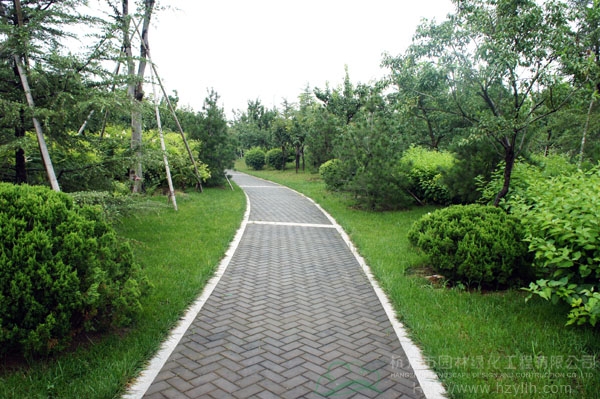 彩运网(中国游)官方网站