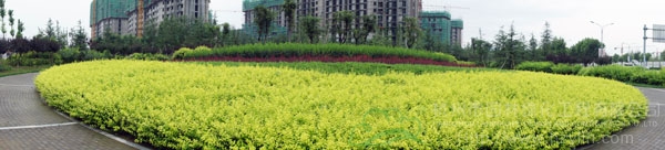 彩运网(中国游)官方网站