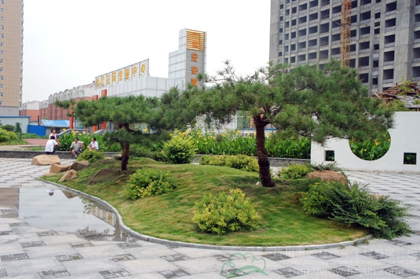 彩运网(中国游)官方网站