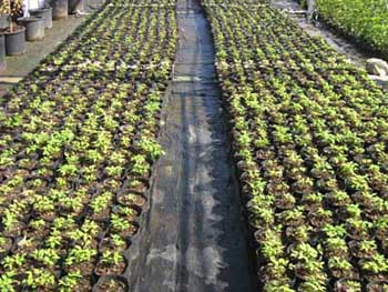 彩运网(中国游)官方网站