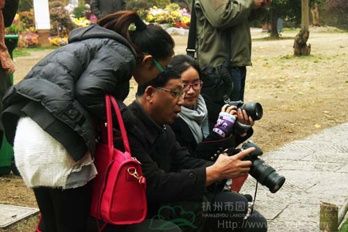 彩运网(中国游)官方网站