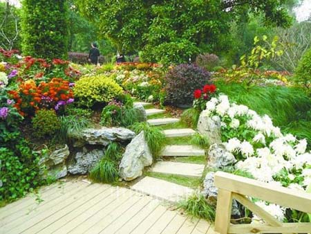 彩运网(中国游)官方网站