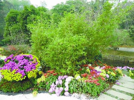 彩运网(中国游)官方网站