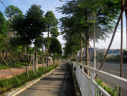 彩运网(中国游)官方网站