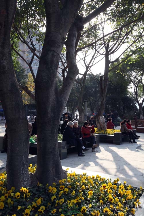 彩运网(中国游)官方网站