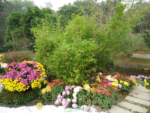 彩运网(中国游)官方网站