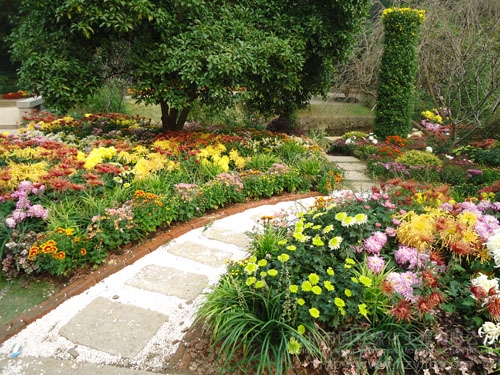 彩运网(中国游)官方网站