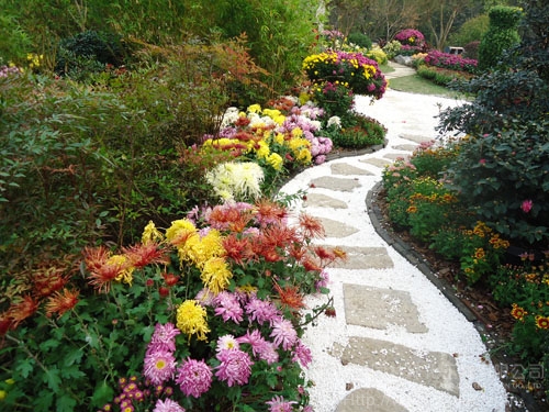 彩运网(中国游)官方网站