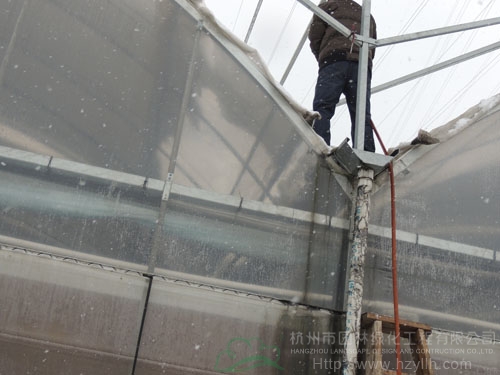 彩运网(中国游)官方网站