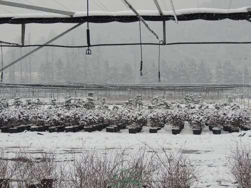 彩运网(中国游)官方网站