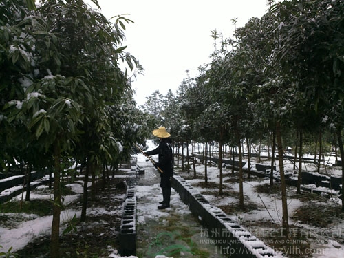 彩运网(中国游)官方网站