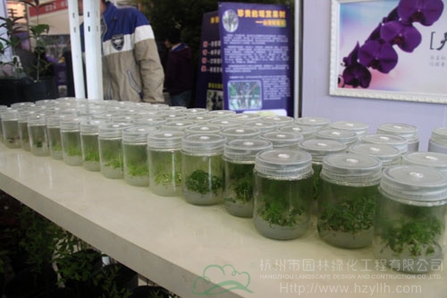 彩运网(中国游)官方网站