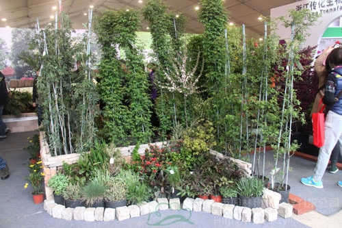 彩运网(中国游)官方网站