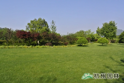 彩运网(中国游)官方网站