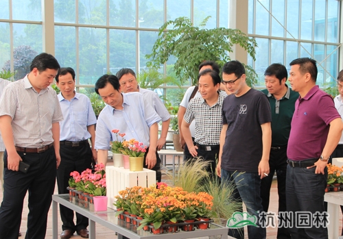 彩运网(中国游)官方网站