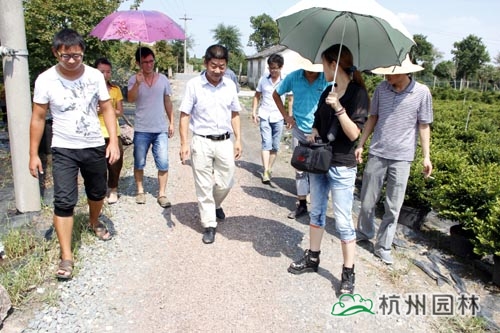 彩运网(中国游)官方网站