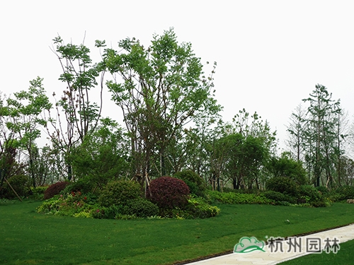 彩运网(中国游)官方网站