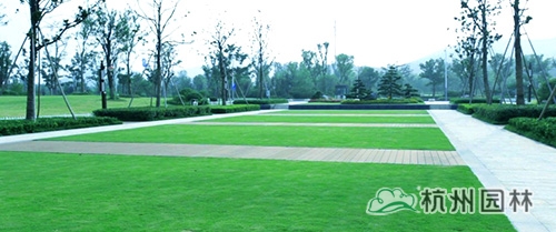 彩运网(中国游)官方网站