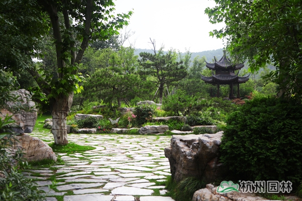 彩运网(中国游)官方网站