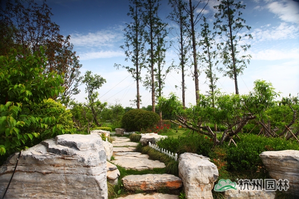 彩运网(中国游)官方网站