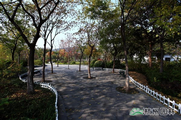 彩运网(中国游)官方网站