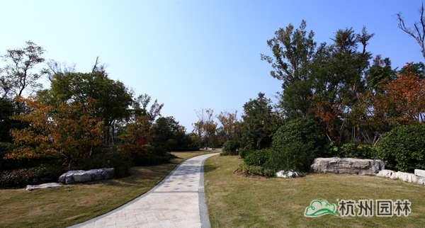 彩运网(中国游)官方网站