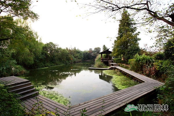 彩运网(中国游)官方网站