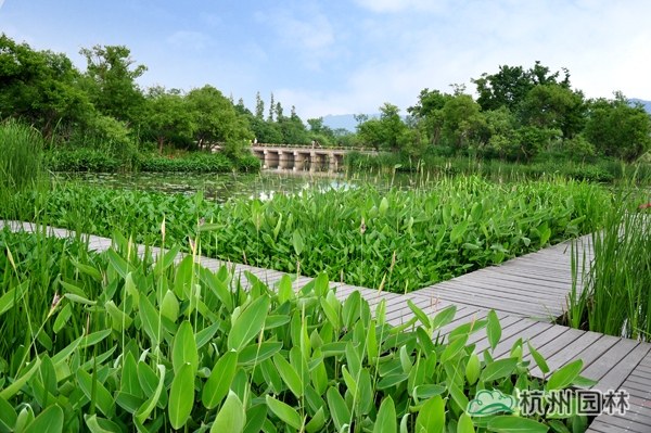 彩运网(中国游)官方网站