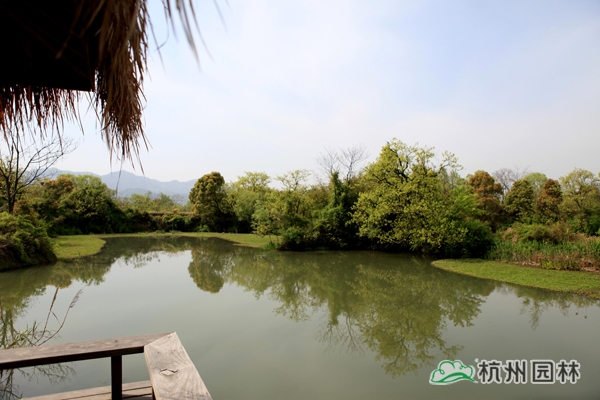 彩运网(中国游)官方网站