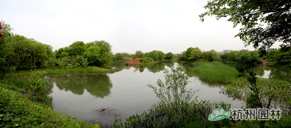 彩运网(中国游)官方网站