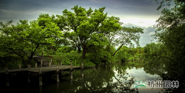 彩运网(中国游)官方网站