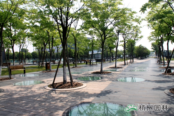 彩运网(中国游)官方网站