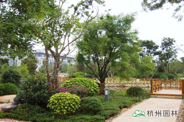 彩运网(中国游)官方网站