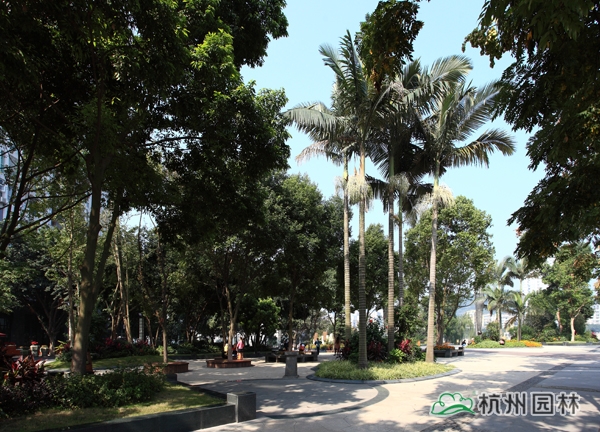 彩运网(中国游)官方网站