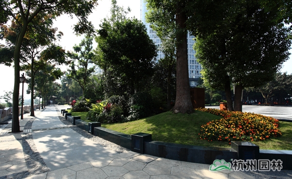 彩运网(中国游)官方网站