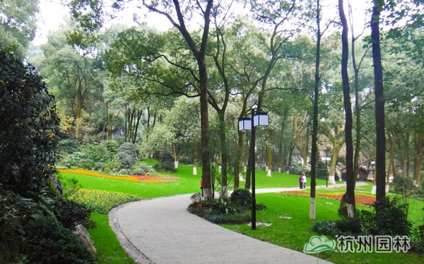 彩运网(中国游)官方网站