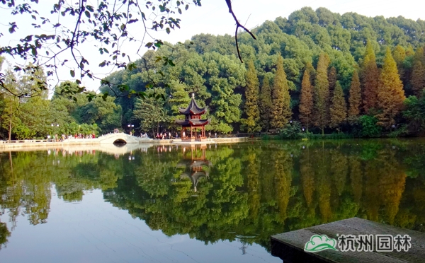 彩运网(中国游)官方网站