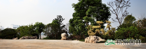 彩运网(中国游)官方网站