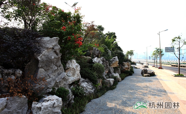 彩运网(中国游)官方网站