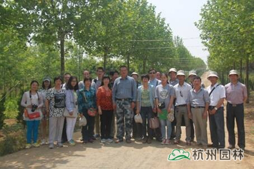 彩运网(中国游)官方网站