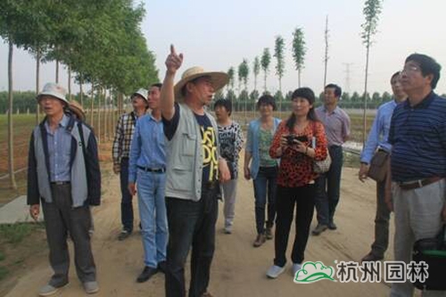 彩运网(中国游)官方网站