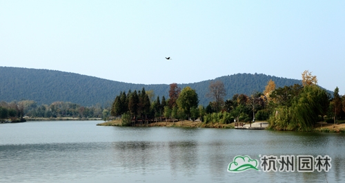 彩运网(中国游)官方网站