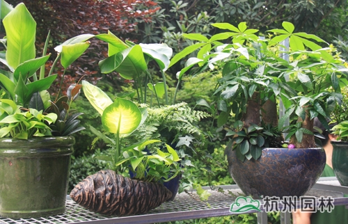 彩运网(中国游)官方网站