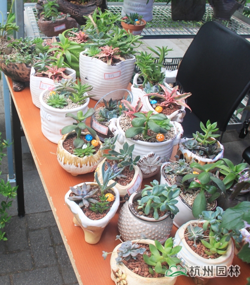 彩运网(中国游)官方网站