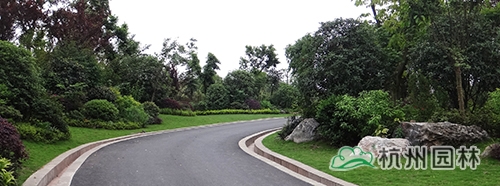 彩运网(中国游)官方网站