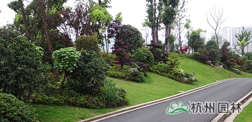 彩运网(中国游)官方网站