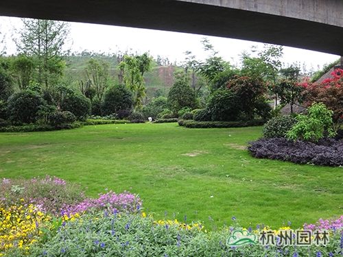 彩运网(中国游)官方网站