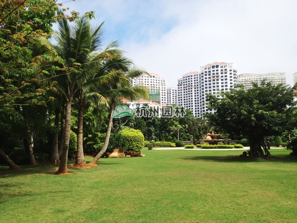 彩运网(中国游)官方网站