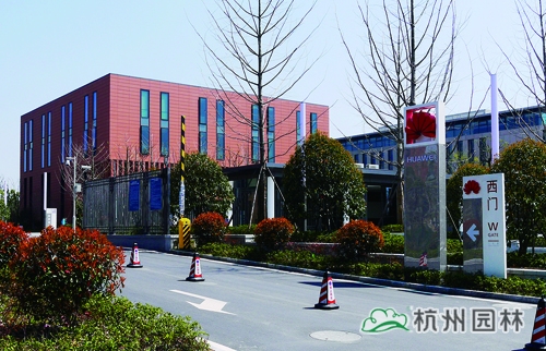 彩运网(中国游)官方网站